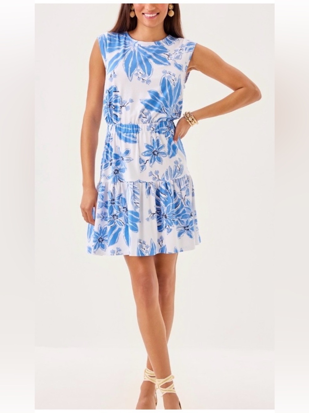 Lilly Pulitzer Danville Dress Jet Set Jungle Blue Floral A-Line Size Large